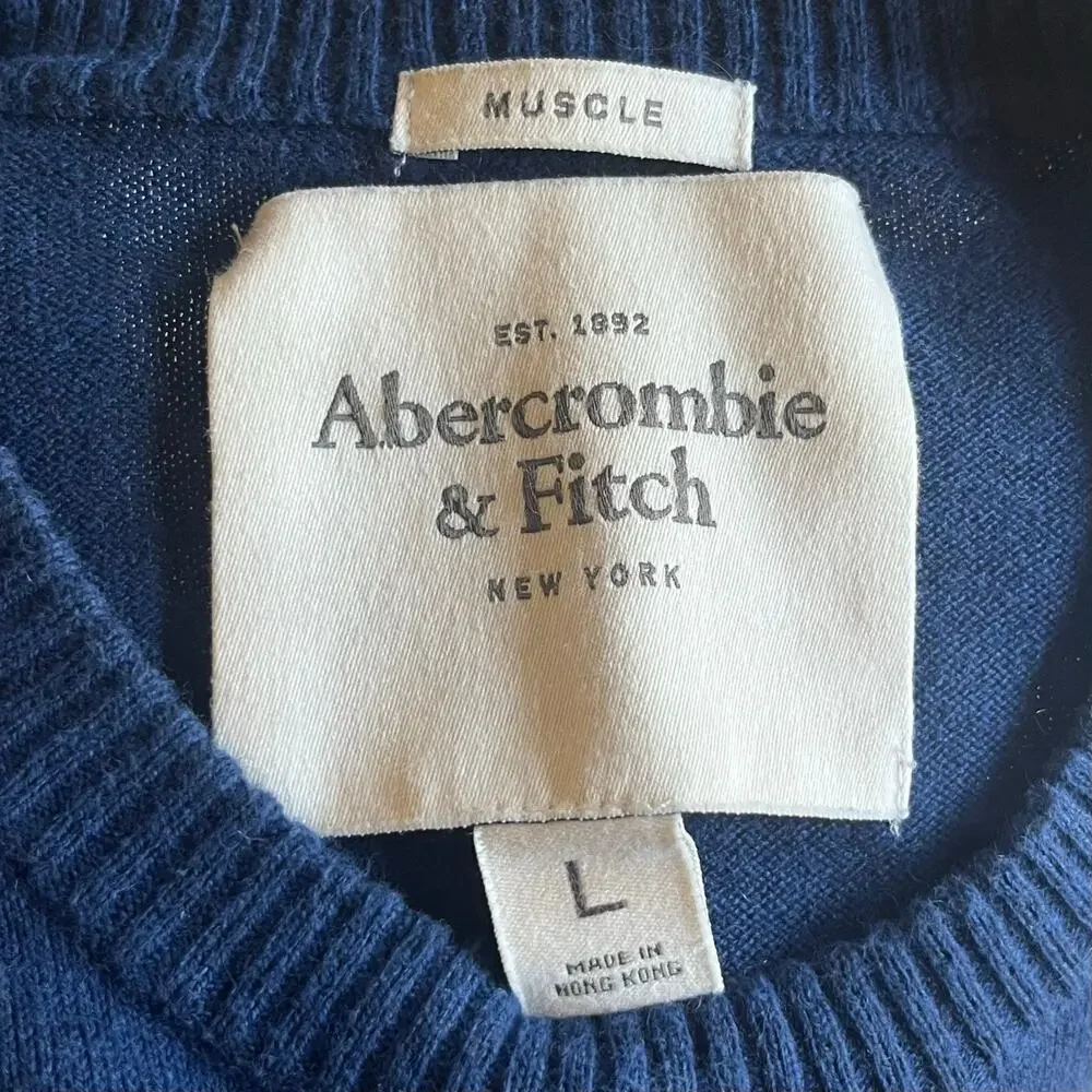 VTG Y2K Abercrombie & Fitch Bradley Muscle Sweater Blue Stripe L Cotton Cashmere